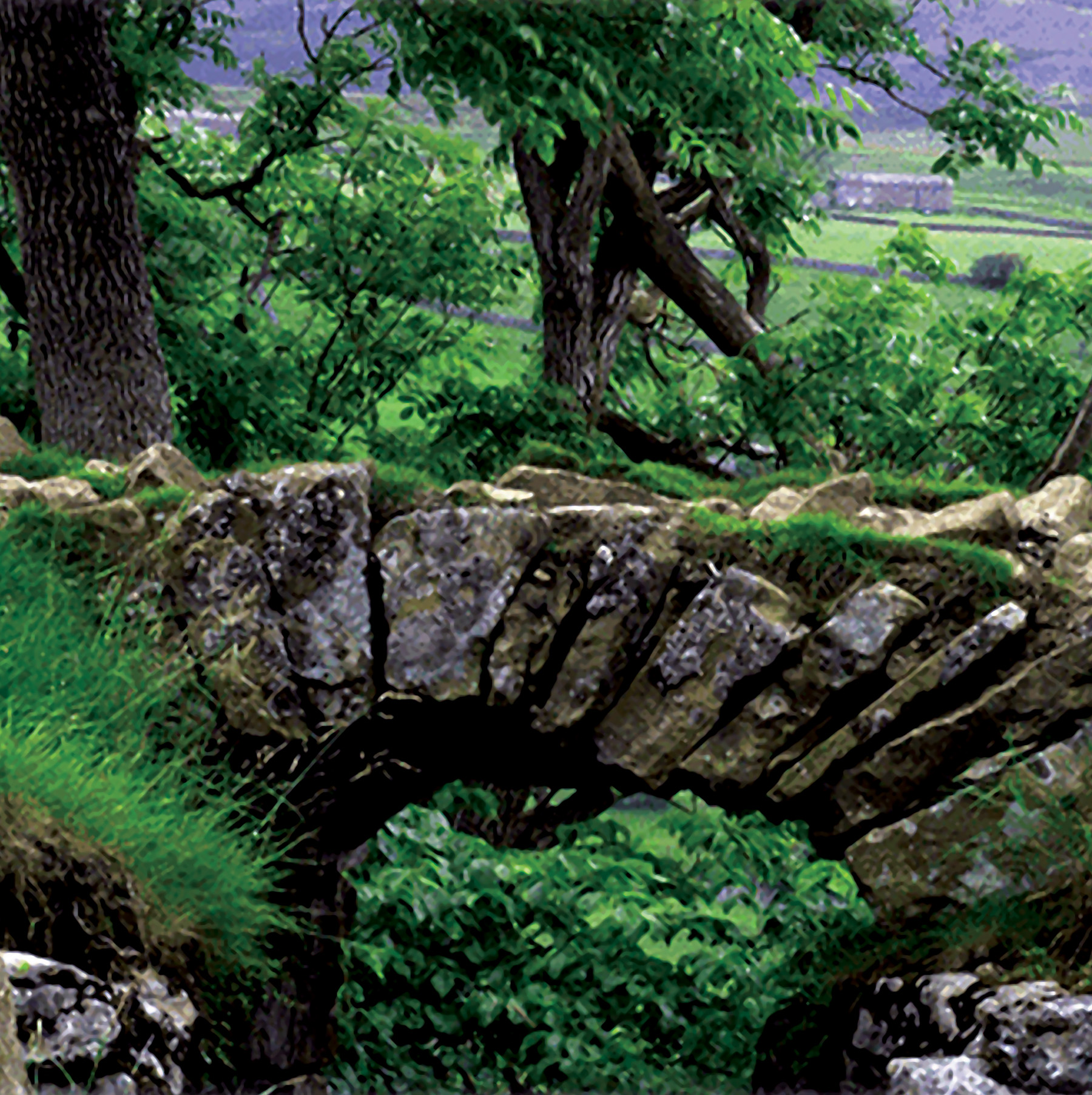 Brigadoon